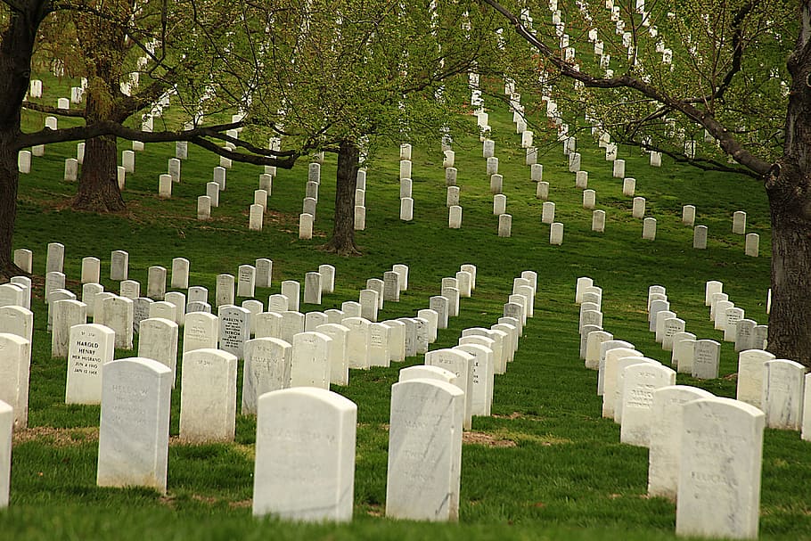 Memorial Day, Graves, Cemetery, Military, american, national, burial, tombstone, dead, patriotic