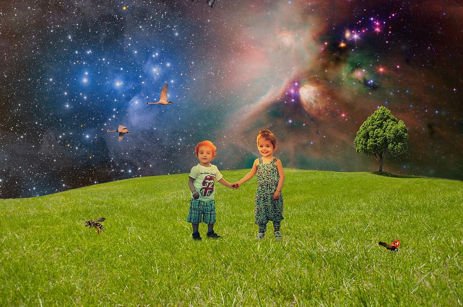 two, toddlers, grassy, plain, edited, Green Meadow, Children, meadow, laughing children, boy