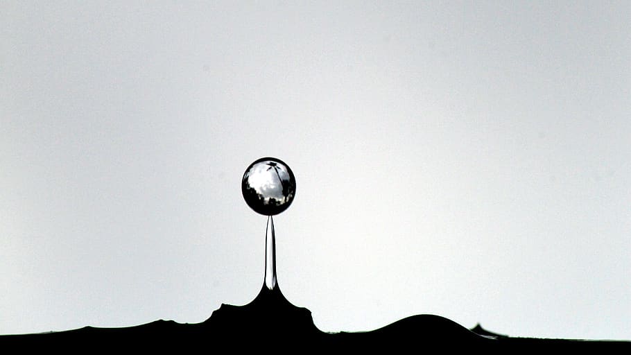 water, drop, droplet, dripping, drip, wet, nature, liquid, clear, raindrop