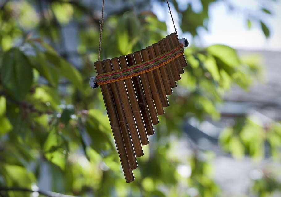 pan flute, musical instrument, decoration, garden, tree, leaves, spring, green, focus on foreground, day