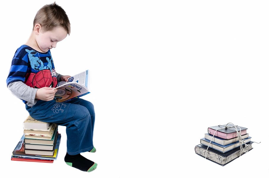 boy, blue, long-sleeved, shirt reading, book, child, studying, isolated, educational, wisdom