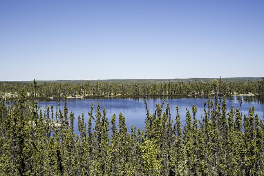 forest, overlook, Pond, Ingraham Trail, canada, clear day, northwest territories, outdoors, public domain, skies