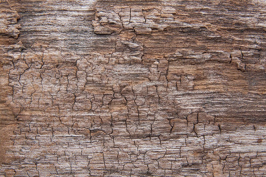 gray tree bark, wood, structure, fund, driftwood, old, weathered, cracks, brown, grey