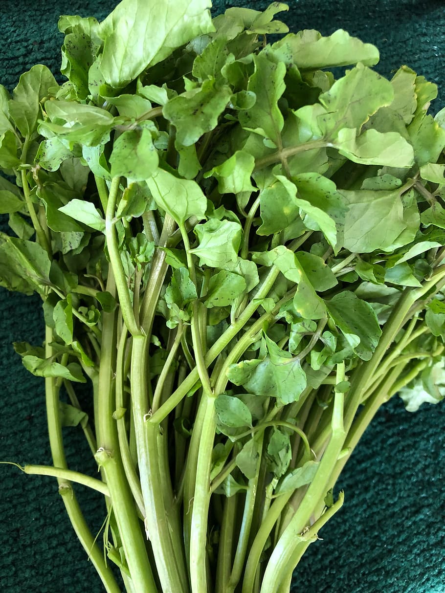 watercress, produce, vegetable, food, fresh, healthy, agriculture, green, raw, vegetables