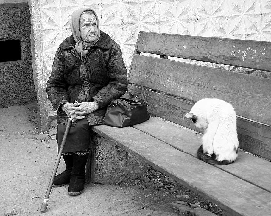grayscale photo, man, sitting, bench, cat, grandma, poverty, shop, stick, old age