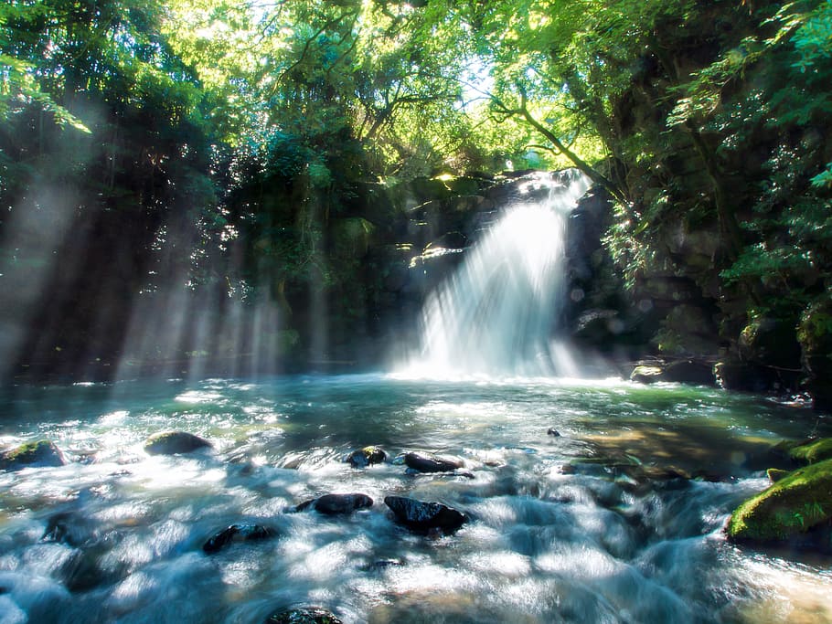 falls, green, trees, japan, kumamoto, the small country, waterfall, light, water, river
