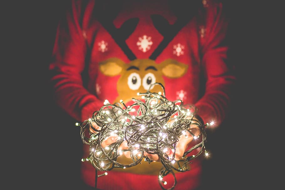 Man, Christmas Sweater, Holding, Christmas Lights, christmas, christmas decoration, christmas time, december, lights, reindeer