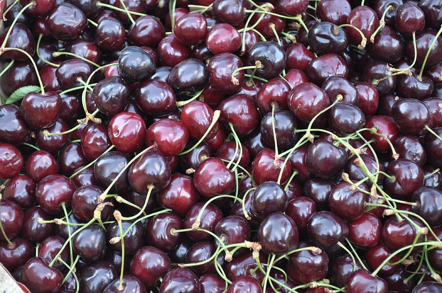 rojo, cereza, lote de fruta, cerezas, fruta, vitaminas, verano, crecimiento, cosecha, comida y bebida