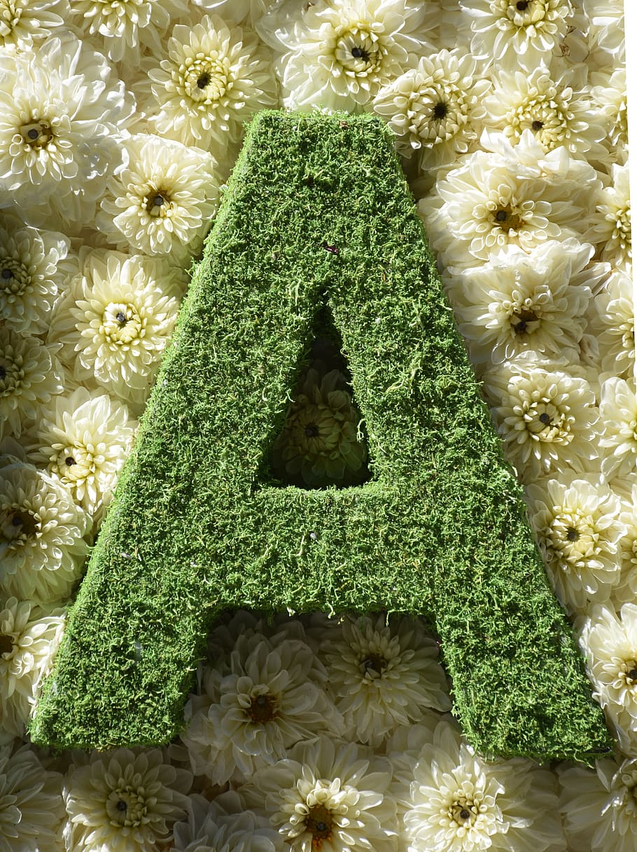 the letter, letter, flower, ornament, typography, decoration, capitals, design, green color, plant