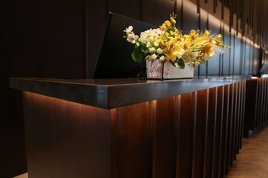hotel, counter, lobby, flower, flowering plant, plant, nature, freshness, indoors, flower arrangement
