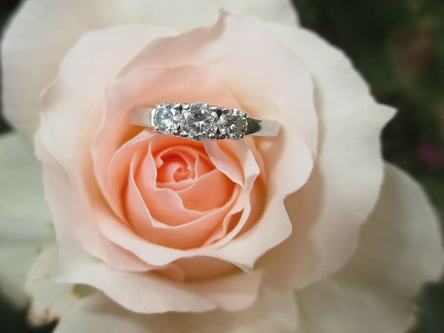 anillo de compromiso de plata, anillo, anillo de compromiso, flor, diamante, prometido, rosa - boda | Pxfuel