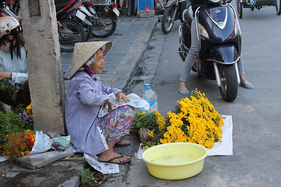 Vendedores ambulantes de Vietnam, Vietnam, vendedores ambulantes, vendedores ambulantes hoi an, granjero de Vietnam, adultos, solo adultos, personas, una persona, flor