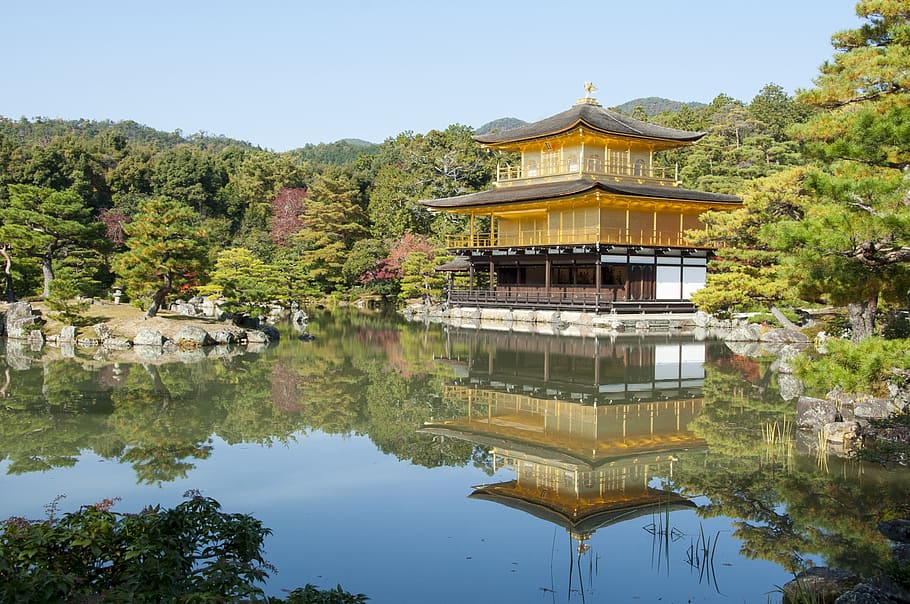 japan, kyoto, golden pavilion, ancient, temple, buddhism, shrine, built structure, architecture, plant
