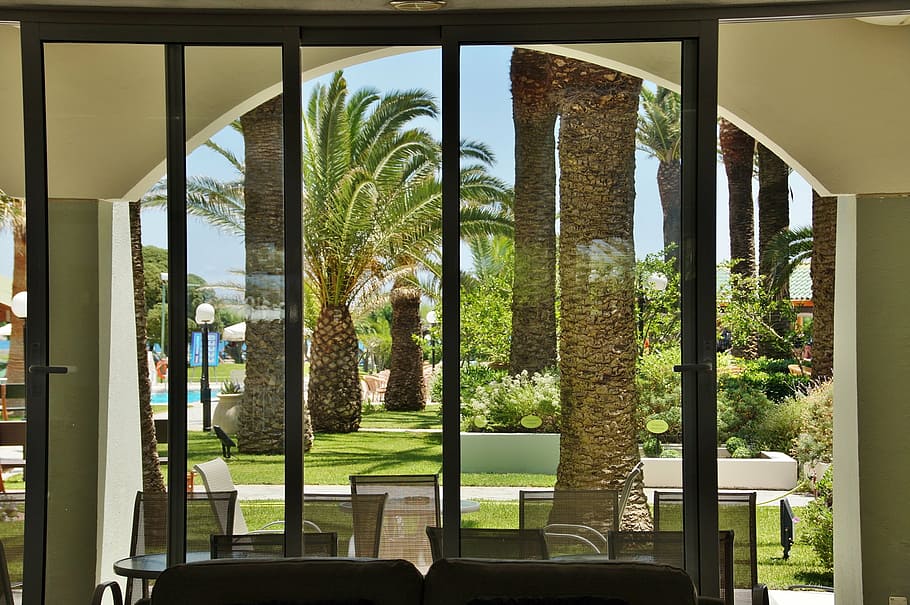 window, the view from the window, into the garden, palm, glass - material, tree, plant, architecture, indoors, transparent