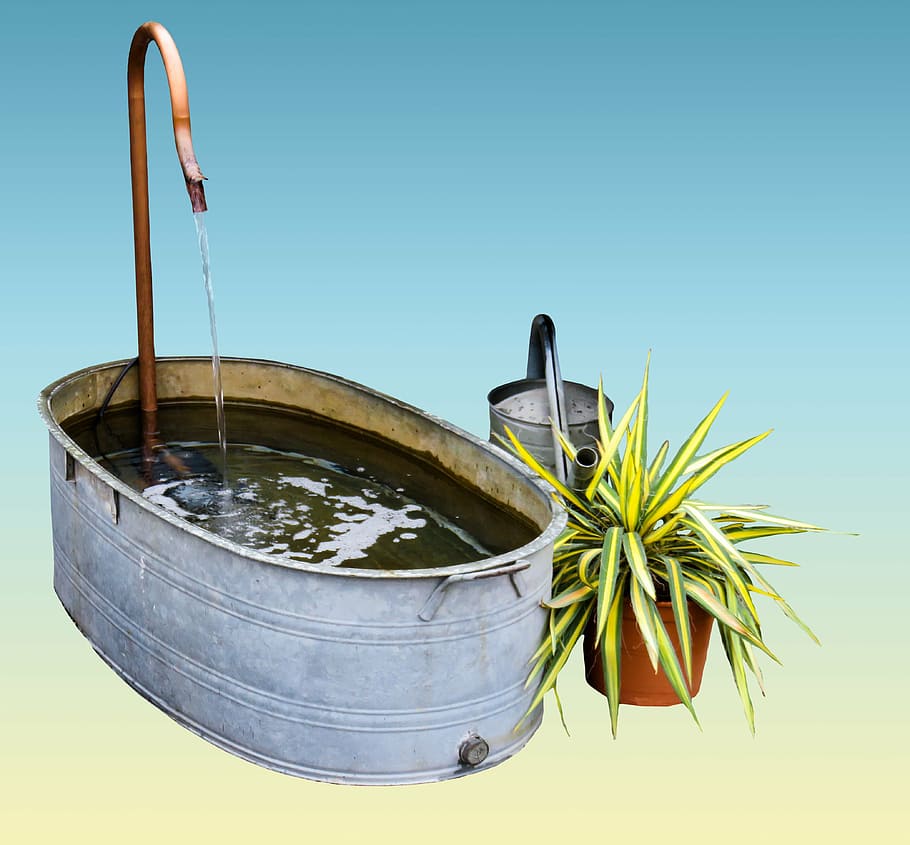 garden, bath, watering can, bucket, water, vessel, faucet, fountain, swim, water fountain