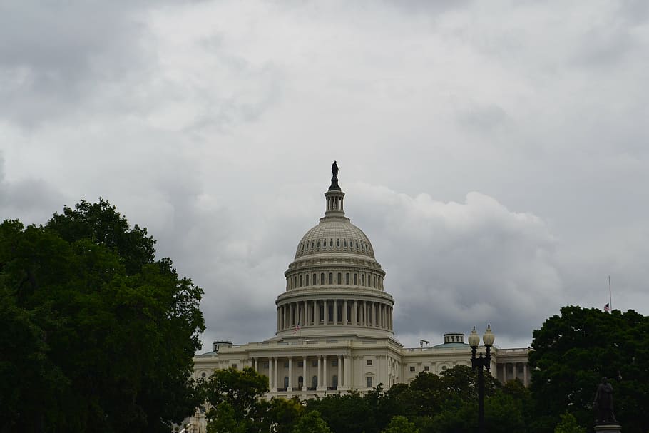capitol building, congress, dome, building exterior, built structure, architecture, sky, government, tree, cloud - sky