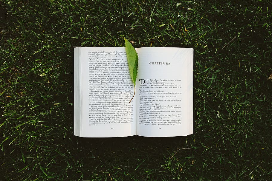reading, grass, leaf, literature, Book, plant, publication, field, land, high angle view