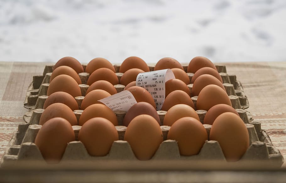 telur, ayam, makanan, pertanian, sehat, produk, protein, alami, nutrisi, bahan