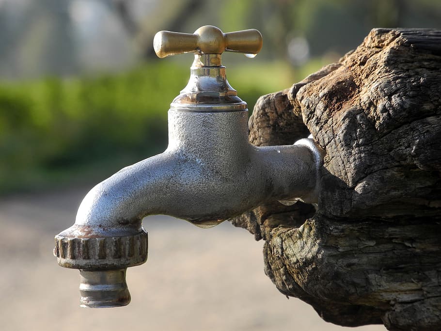 silver faucet, faucet, fountain, log, park, metal, focus on foreground, old, day, close-up