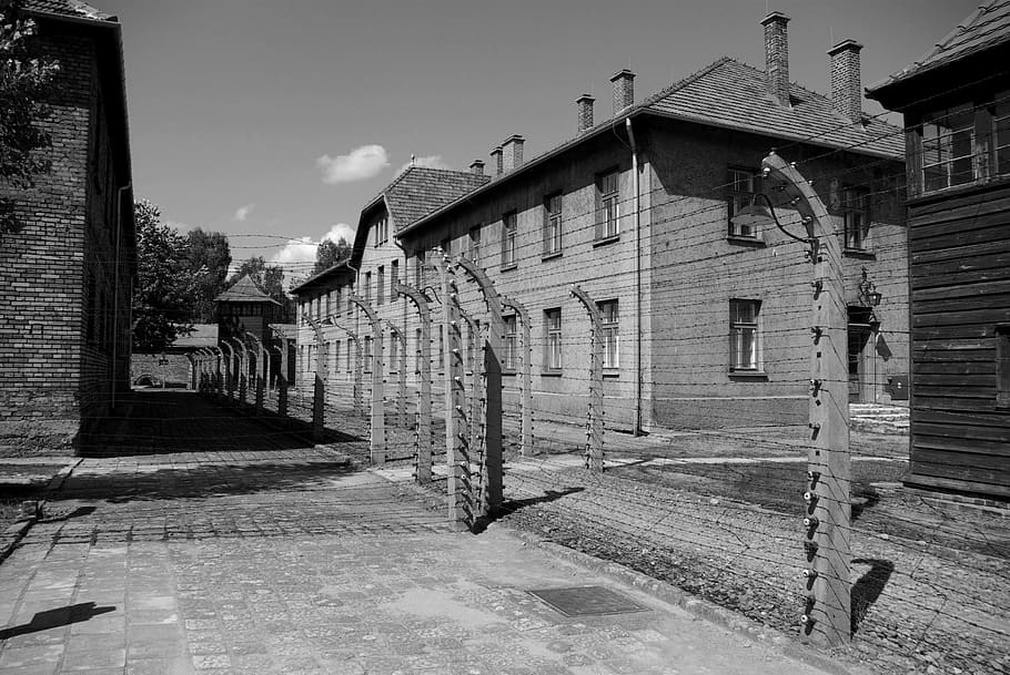 grayscale photo, barbwire, auschwitz-birkenau, concentration camp, nazism, crime, hitler, auschwitz, birkenau, concentration