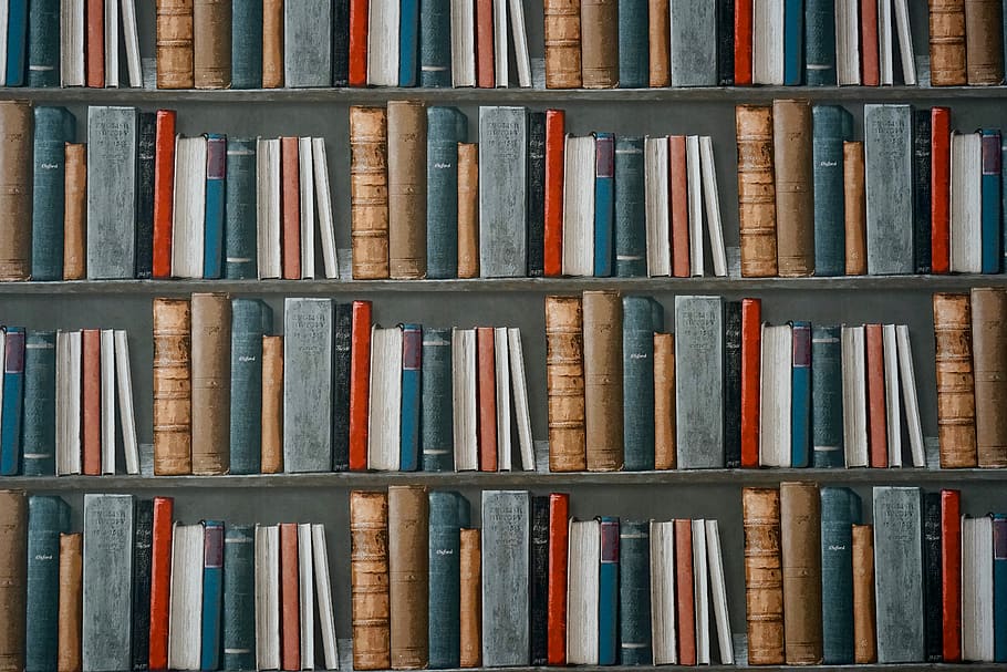 koleksi buku hardbound, buku, rak buku, perpustakaan, pendidikan, sastra, pengetahuan, studi, rak, toko buku
