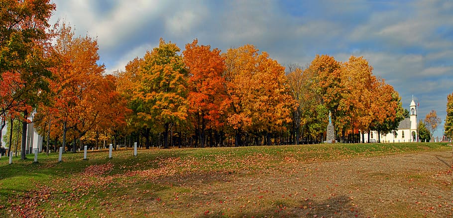 outono, cores, temporada, laranja, colorido, folhas, sazonal, dourado, igreja, nova brunswick