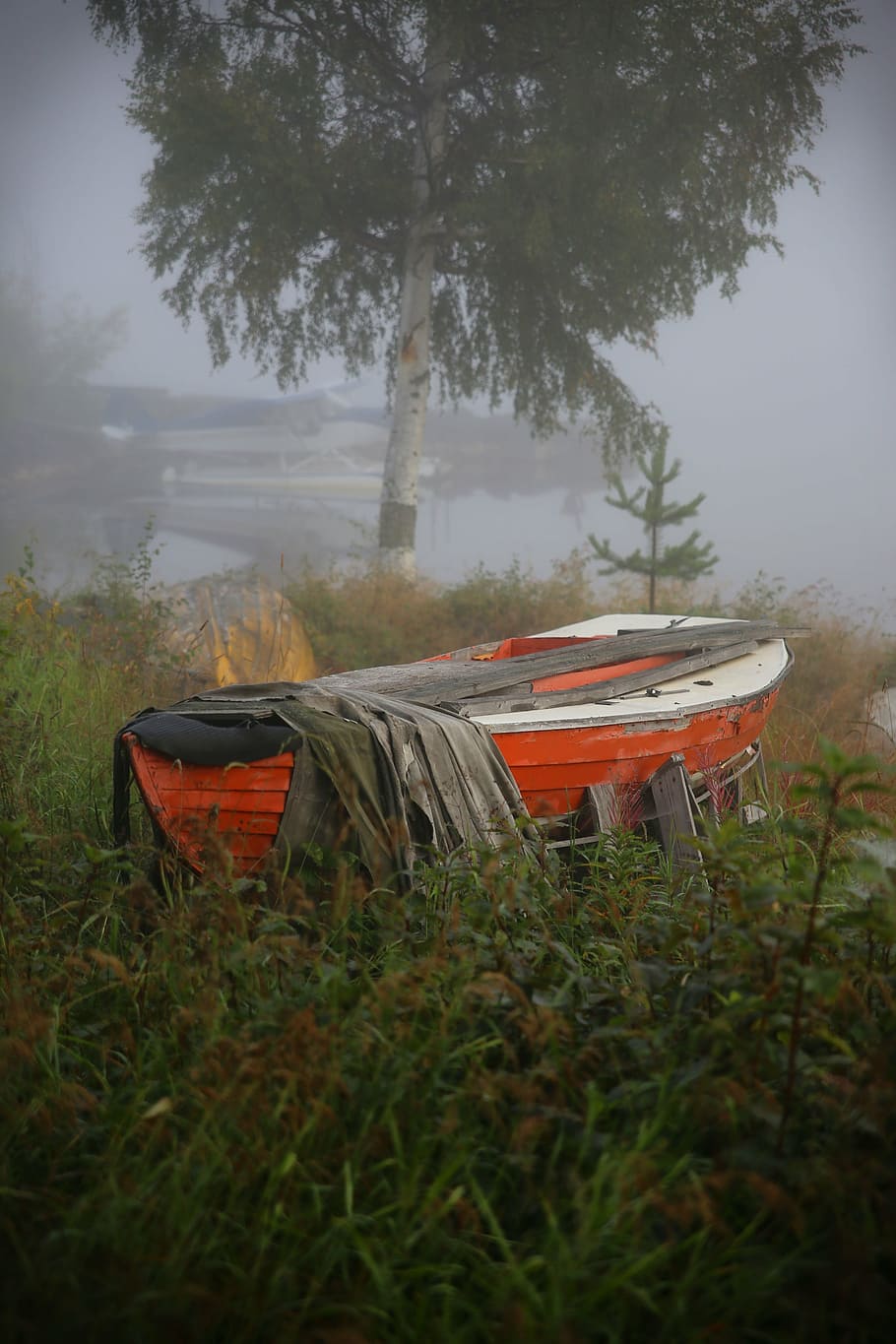 boat, aircraft, mist, lake, morning, landscapes, outdoors, nature, plant, nautical vessel