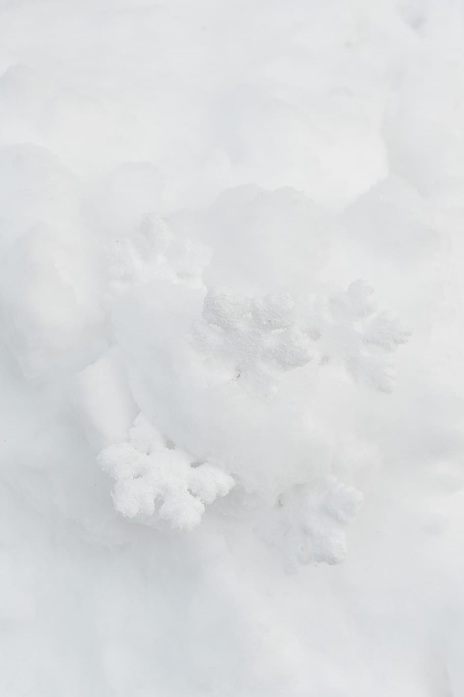 copos de nieve, decoración, nieve, blanco, mínimo, invierno, decorativo, fresco, color blanco, fondos