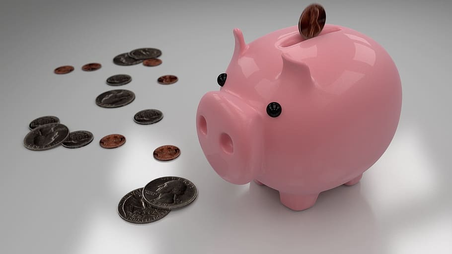 merah muda, keramik, celengan, koin, tabungan, uang, bank, mata uang, investasi, babi