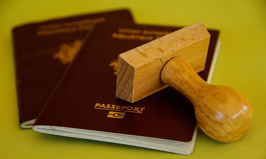 marrón, madera, sello, dos, granate, pasaporte, búfer, viaje, límite, aduanas