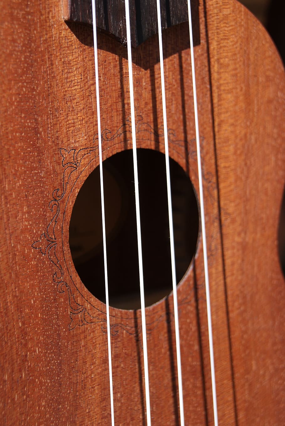 strings, ukulele, music, hollow, wood, instrument, hawaiian, hawaii, acoustic, play