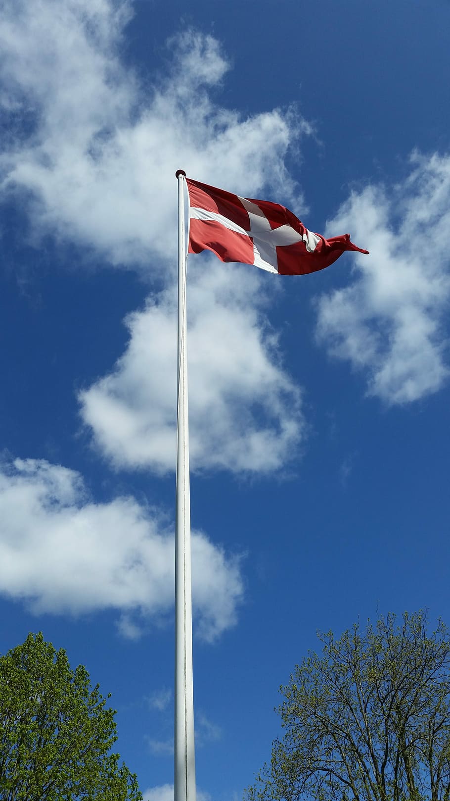 Dinamarca, bandera, aire, patriotismo, cielo, vista de ángulo bajo, nube - cielo, día, árbol, planta
