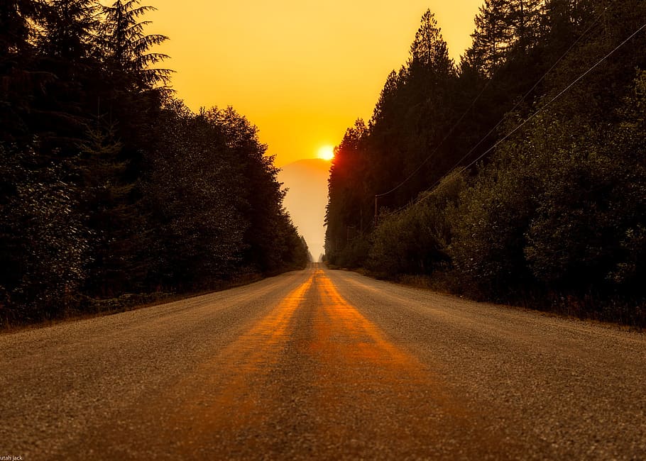 roadway, trees, golden, hour, canada, landscape, road, highway, sunset, sunrise