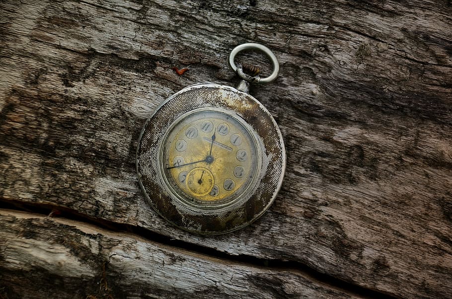 pocket, watch, 11:40, pocket watch, at 11, expensive, hour s, passage of time, wind up clock, wood - material