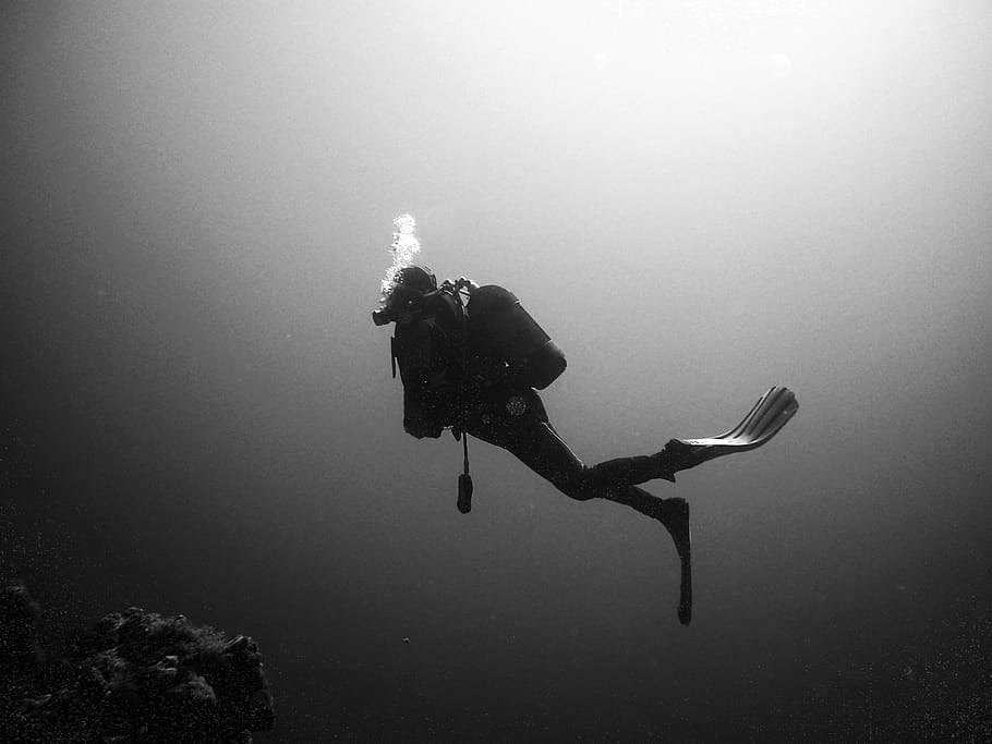 person, diving, underwater, grayscale photo, divers, water, underwater world, black and white, scuba Diving, underwater Diving