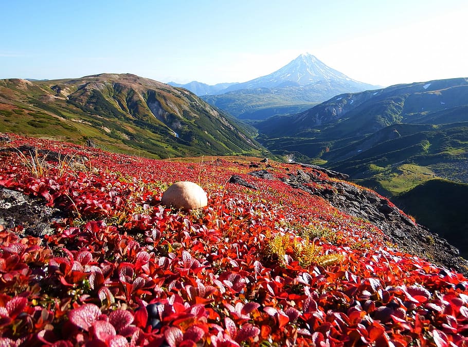 gunung, gunung berapi, tundra, musim gugur, jalan, lanskap, alam, kaki, kamchatka, ruang terbuka