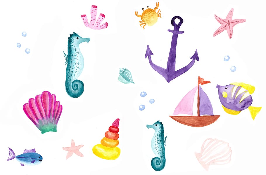 lukisan warna air, makhluk laut, close-up, foto, kerang, makhluk, set ikon, musim panas, liburan, maritim