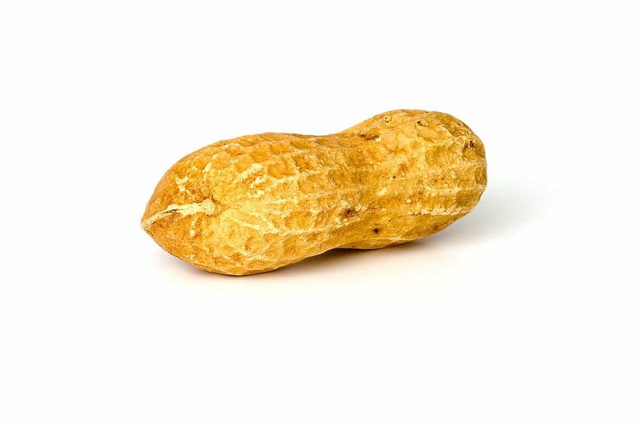 peanut, white, surface, peanuts, nut, food, whole, brown, yellow, food and drink