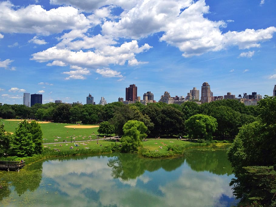 Free download | new york, central park, grass, meadow, pond, outdoors ...