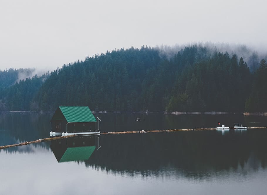 green, black, house, lake, day time, black house, day, time, wild, pacific