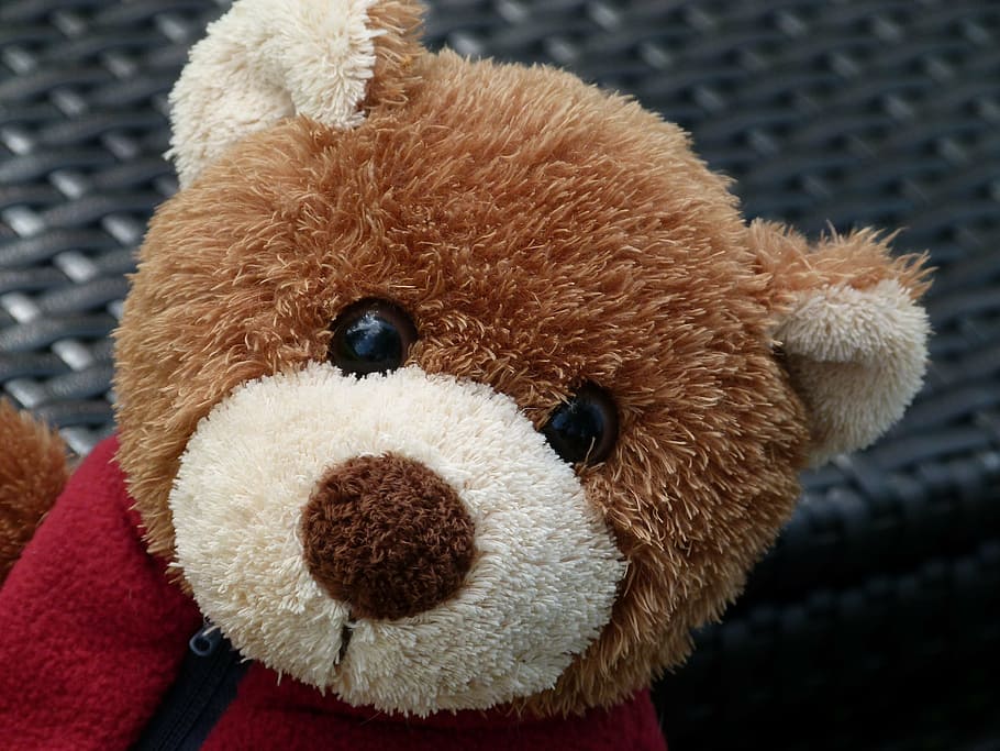 closeup, photography, brown, bear, plush, toy, teddy, fabric, face, childhood