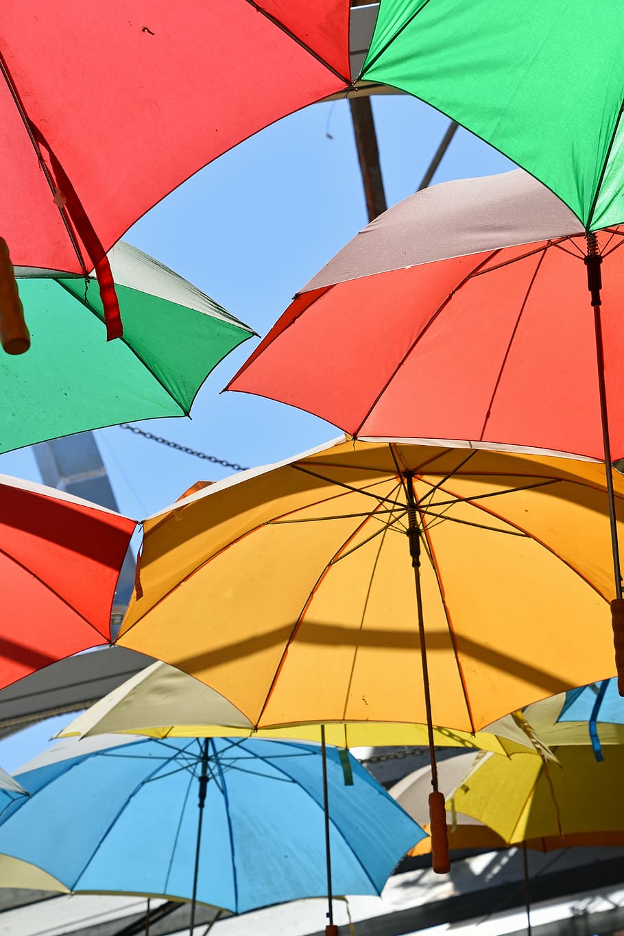 assorted-color umbrellas, umbrella, multi colour, color, rainbow, gay, natural, dom, green, homosexual