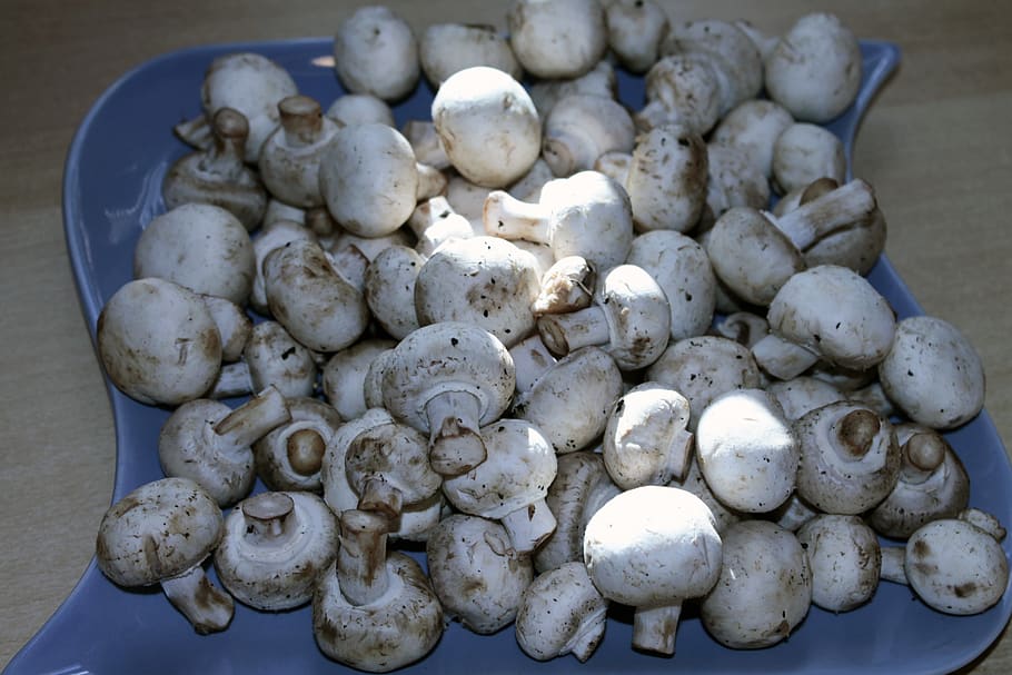 mushrooms, white, ingredient, eat, food, edible, freshness, large group of objects, vegetable, food and drink