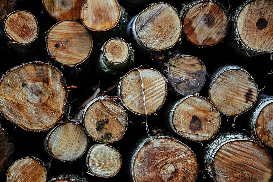 troncos de madera, madera, troncos, bosque, madera - Material, registro, árbol, leña, marrón, fondos