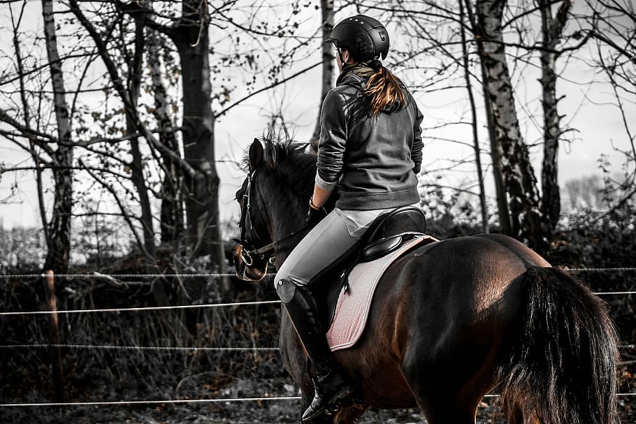 woman, riding, horse, andalusians, spanish, reiter, ride, sport, equestrian, brown