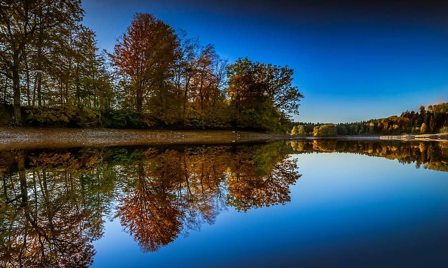 marrón, árboles, al lado, lago, durante el día, paisaje, fondo, reflejo, imagen de fondo, naturaleza