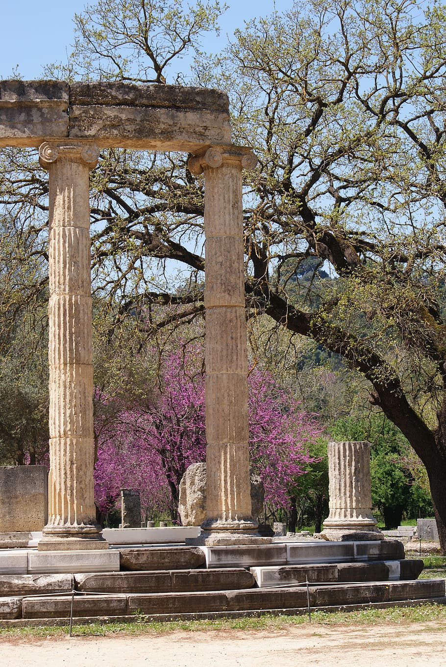 greece, olympia, peloponnese, sanctuary, historical, ruins, archeology, antique, unesco, pillars
