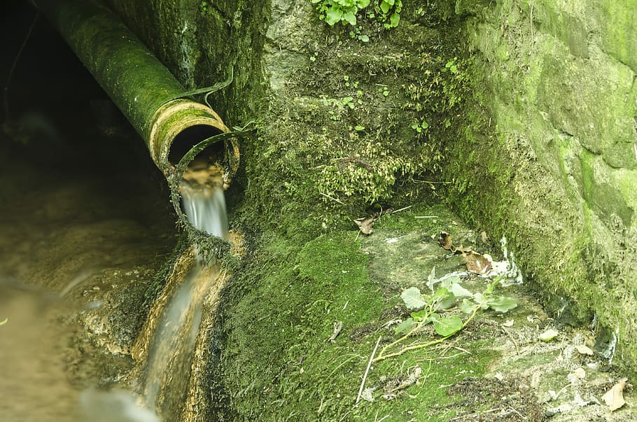 Green, Water, Water, Pipe, Moss, Wet, green, water, pipe, environment, pipe - tube, sewage