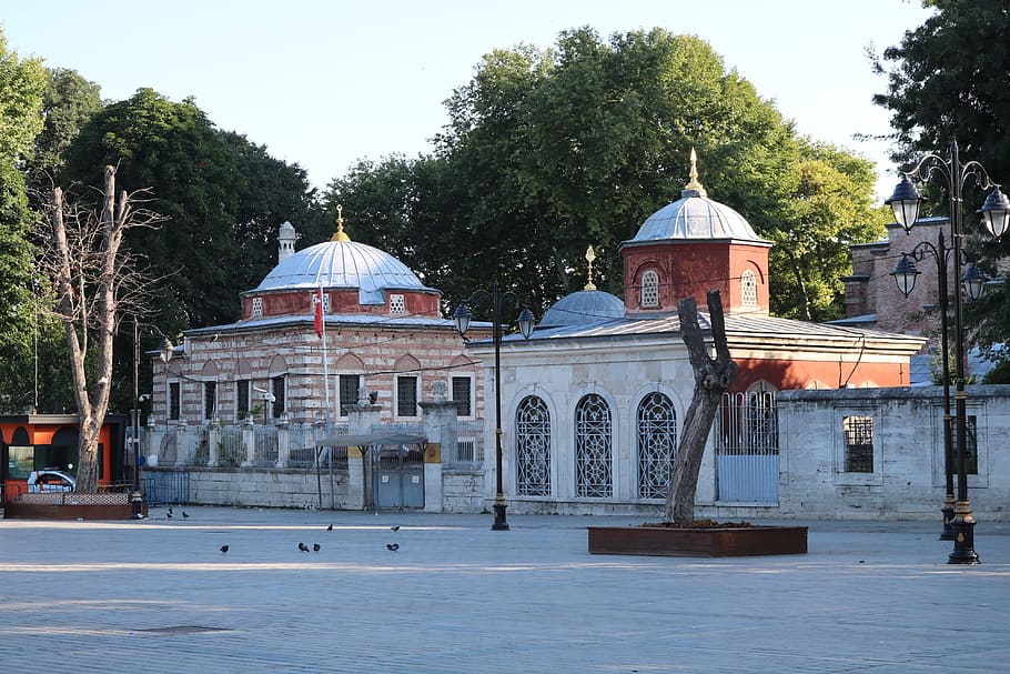 istanbul, cami, kalkun, perdamaian, islam, agama, hagia sophia, pemandangan, süleymaniye, foto