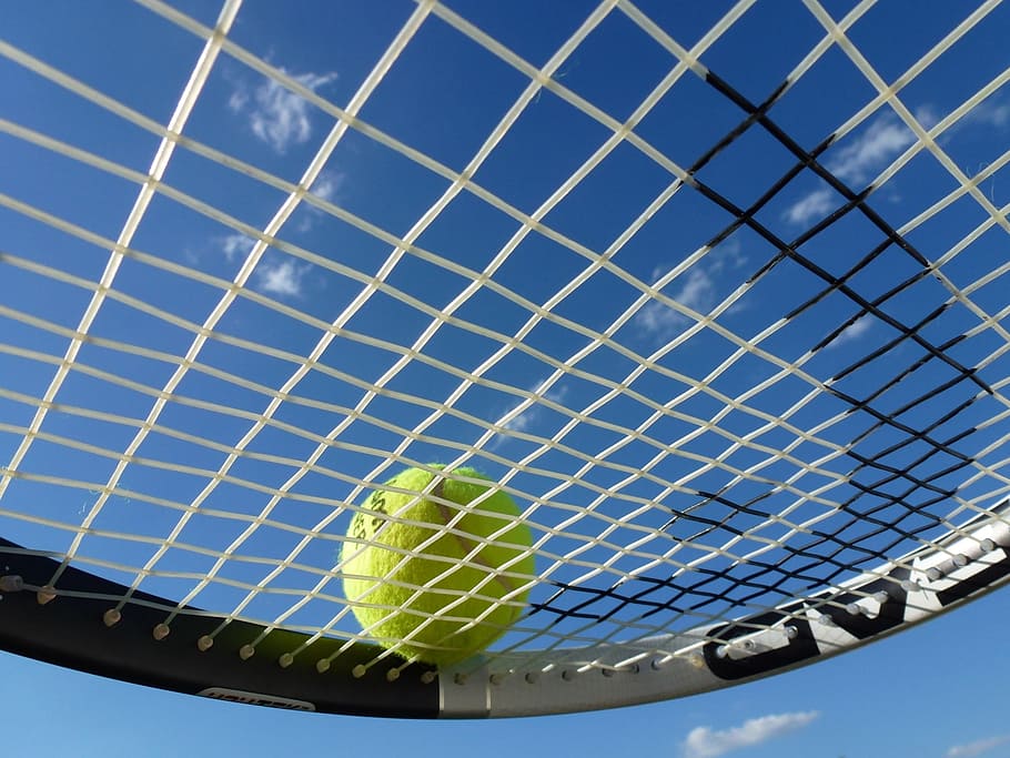 wilson tennis ball, black, white, head tennis racket, Tennis Ball, Tennis Racket, tennis, sport, play tennis, ball